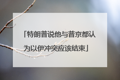 特朗普说他与普京都认为以伊冲突应该结束